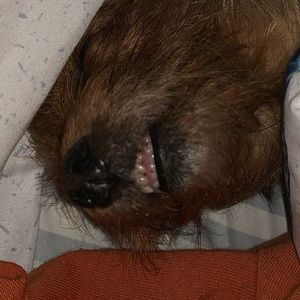 Meet your Posher, Sexy mami